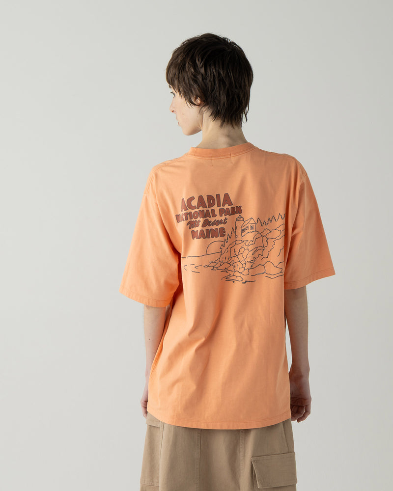 ナショナルパーク・プレーティング天竺 Tシャツ - CORAL【ACADIA】