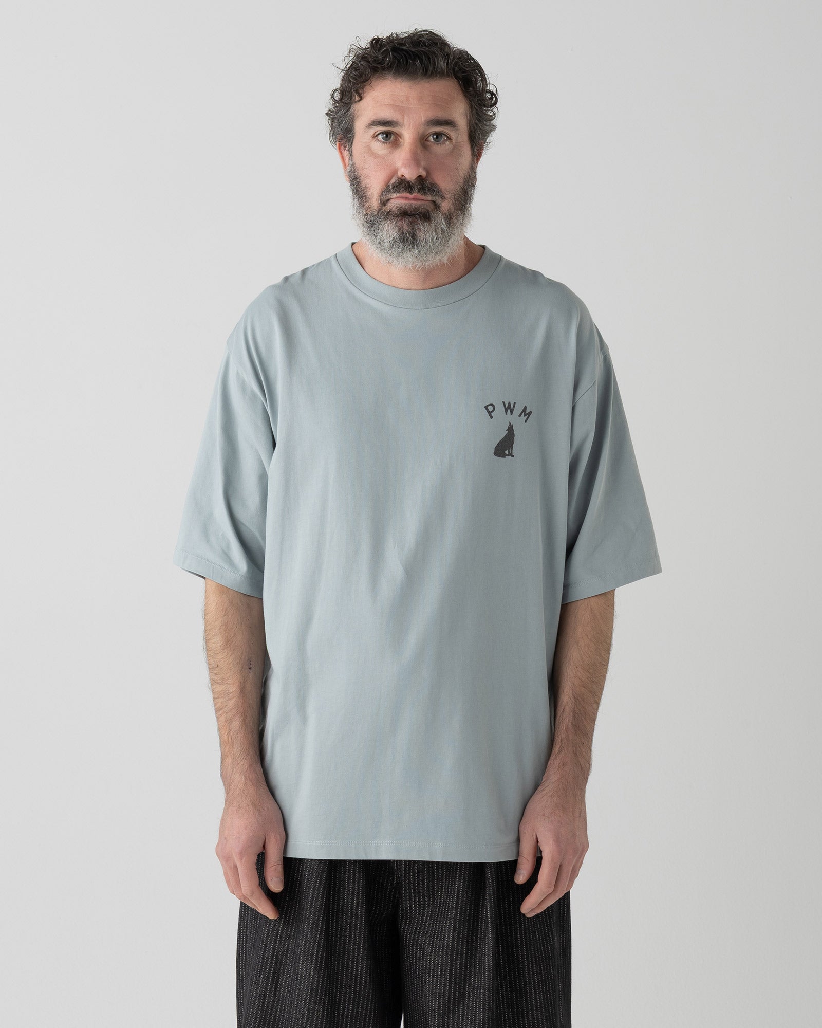 バックプリント・プレーティング天竺Tシャツ - SLATE BLUE【COYOTE