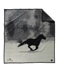 A Horse Called Paint
