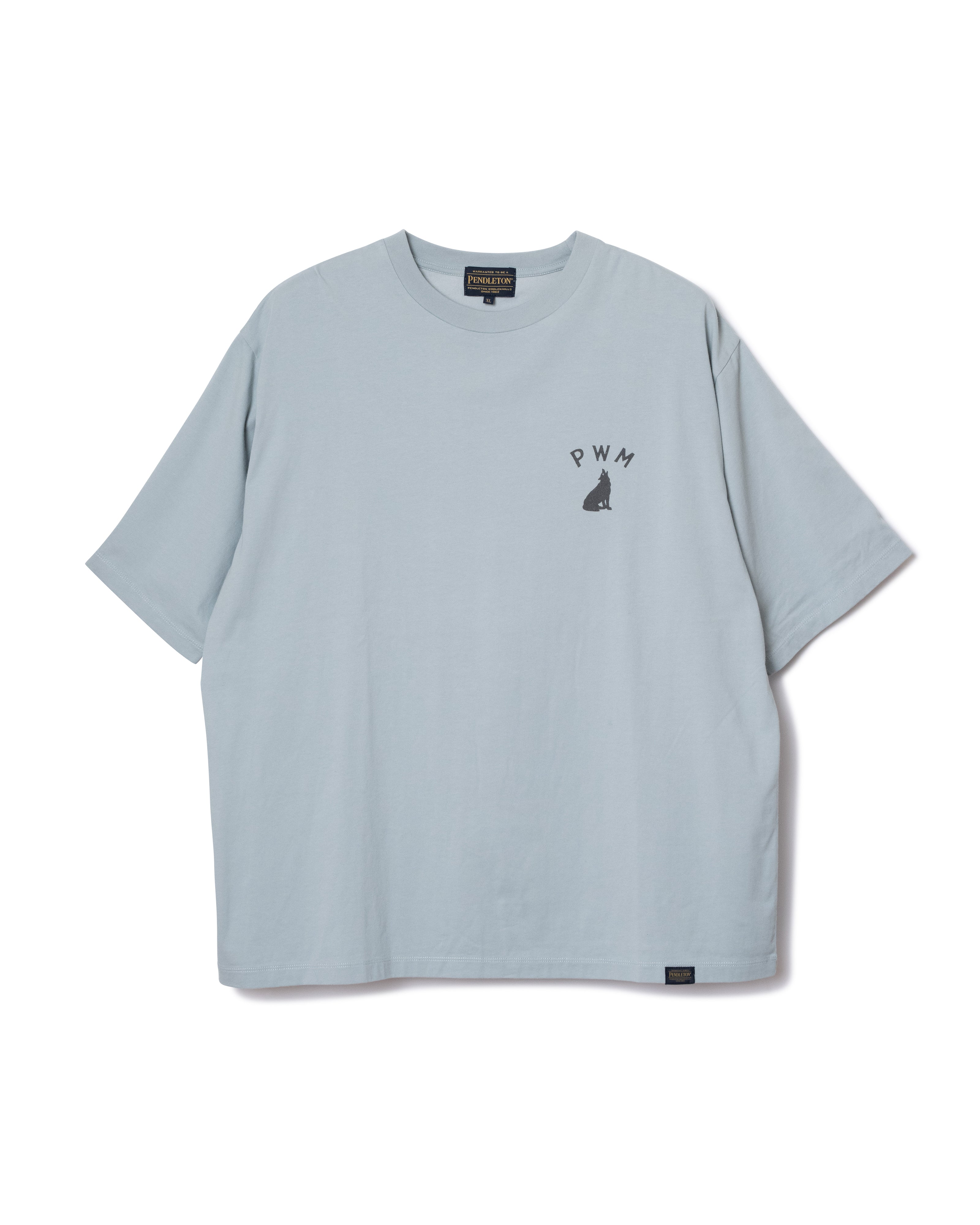 バックプリント・プレーティング天竺Tシャツ - SLATE BLUE【COYOTE