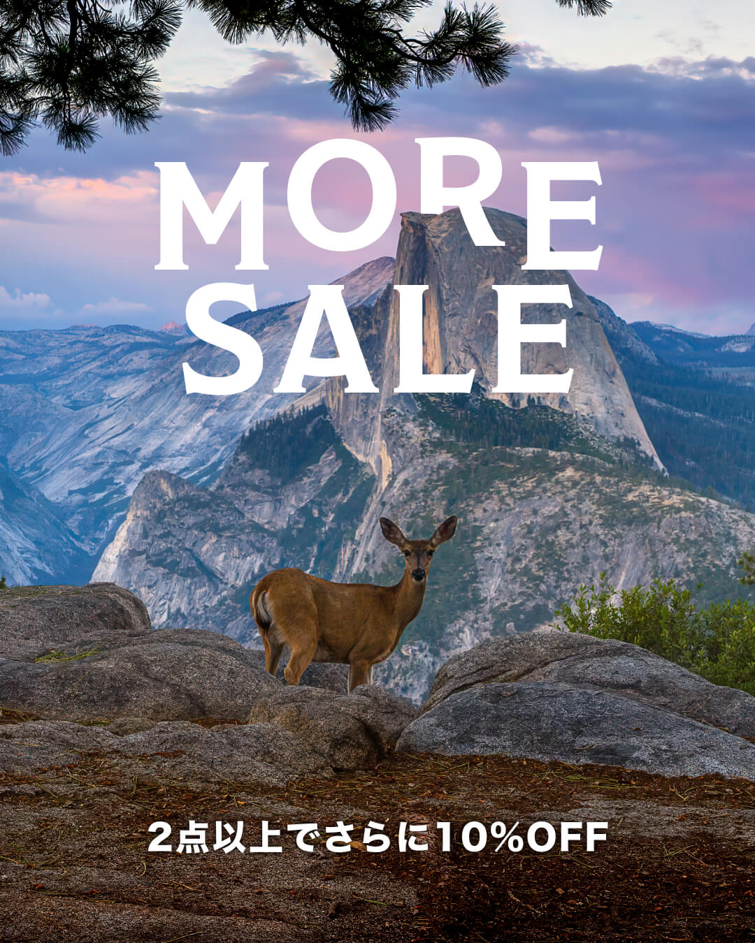 PENDLETON WOOLEN MILLS JAPAN / ペンドルトン日本公式 – PENDLETON